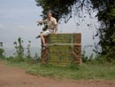 Ngorongoro alhaalla